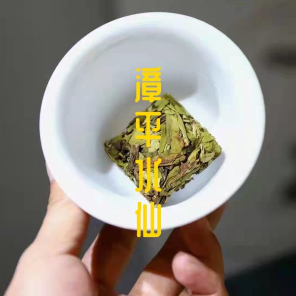 [Oolong Tea] Fujian Oolong Tea | Zhang Ping Shui Xian | Narcissus