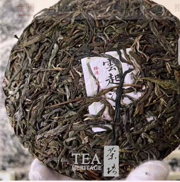 CNY Tea Gift | Tea Heritage Anniversary Tea | Pu'er Gushu - Image 2