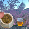 CNY Tea Gift | Tea Heritage Anniversary Tea | Pu'er Gushu - Image 4