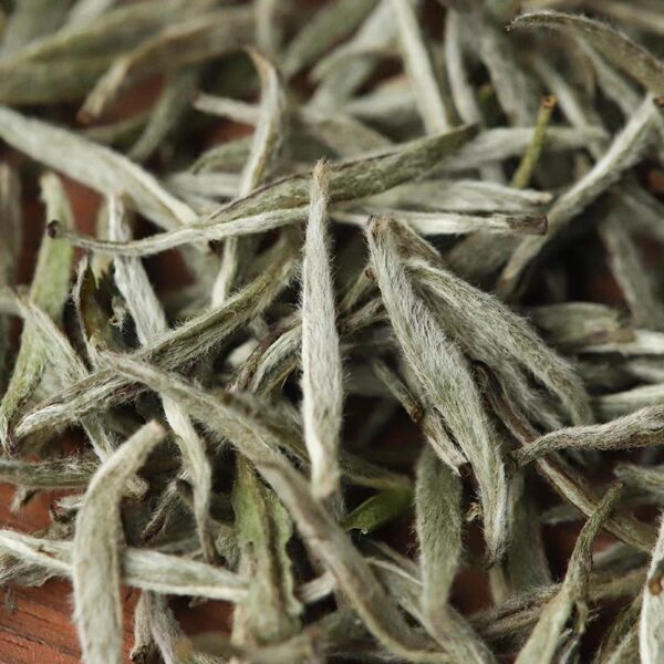 [White Tea] Fuding White Tea | Bai Cha Bai Hao Yin Zhen | Silver Needles - Image 8