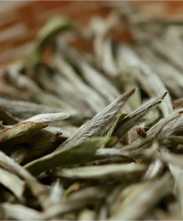 [White Tea] Fuding White Tea | Bai Cha Bai Hao Yin Zhen | Silver Needles - Image 15