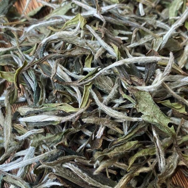 [White Tea] Fuding White Tea | Master Crafted Bai Cha Mu Dan | White Peony - Image 2