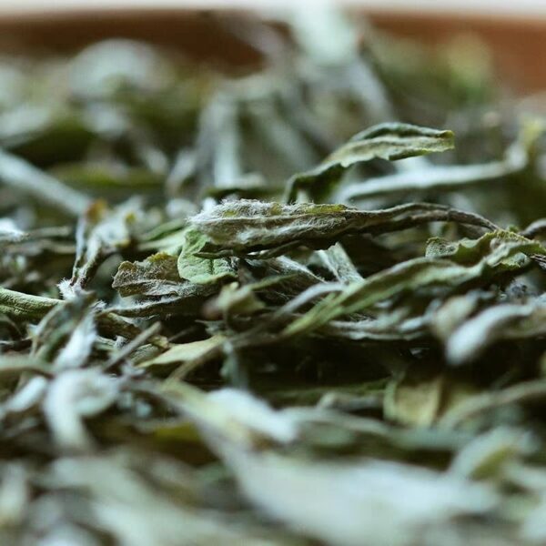 [White Tea] 11.11 Sales White Teas Bundle | Fuding White Tea | Selected 4 Grades White Teas - Image 4