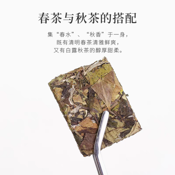 CNY Tea Gift | White Tea Gift | Bai Mu Dan | 2019 - Image 2