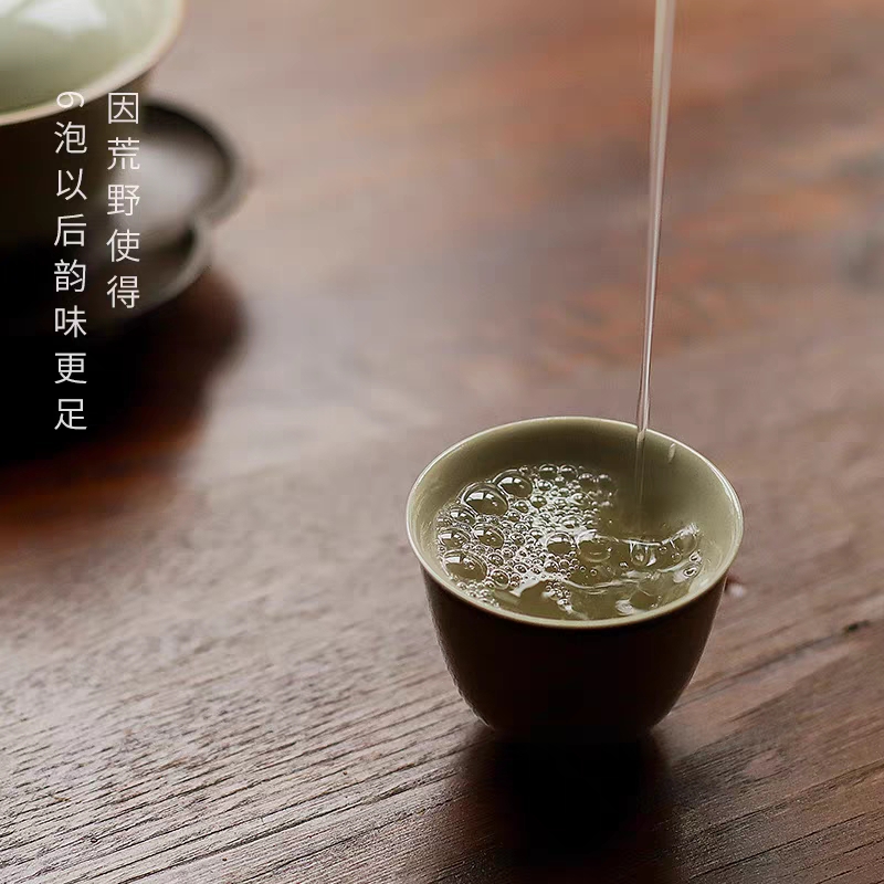 2023 White Silver Needle brewing guide