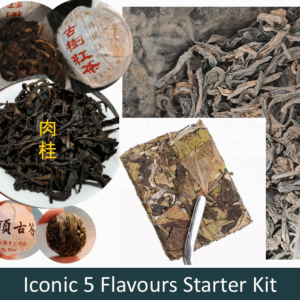 Start your tea journey