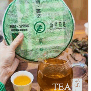 [Pu Erh Tea]云南省著名商标 | 新星茶庄 Special Edition  - 2007 Aged Yiwu Jing Long Cha