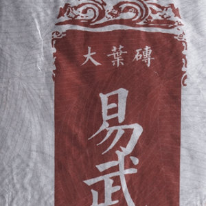 [Pu Erh Tea] Yiwu Mountain | 易武古树生茶 Ancient Yiwu Teas